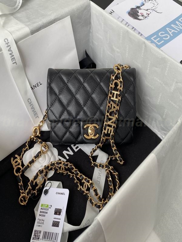 Chanel Handbags 172